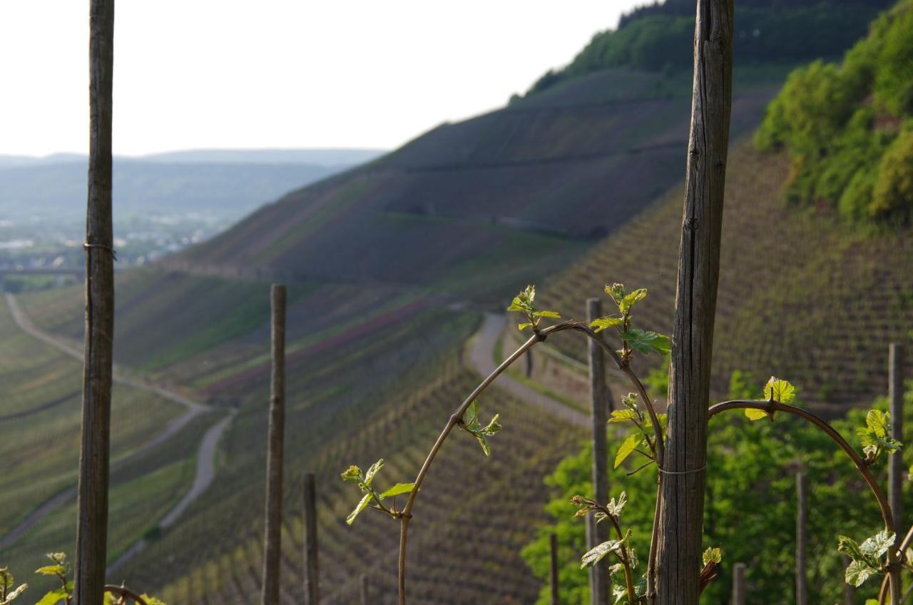 Weingut Weich Hotel Riol Buitenkant foto
