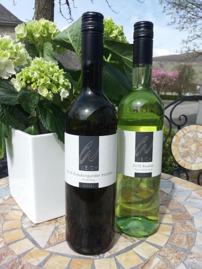 Weingut Weich Hotel Riol Buitenkant foto