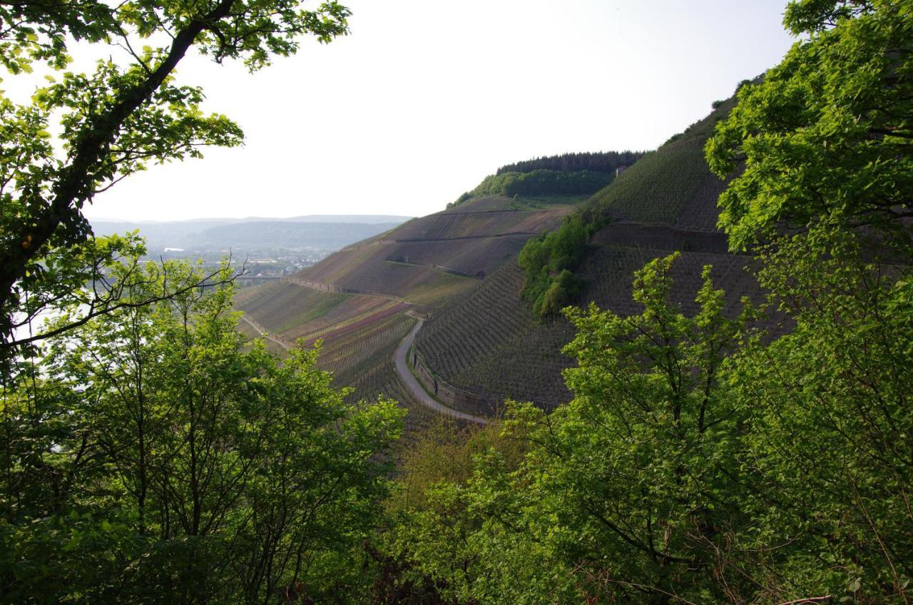 Weingut Weich Hotel Riol Buitenkant foto
