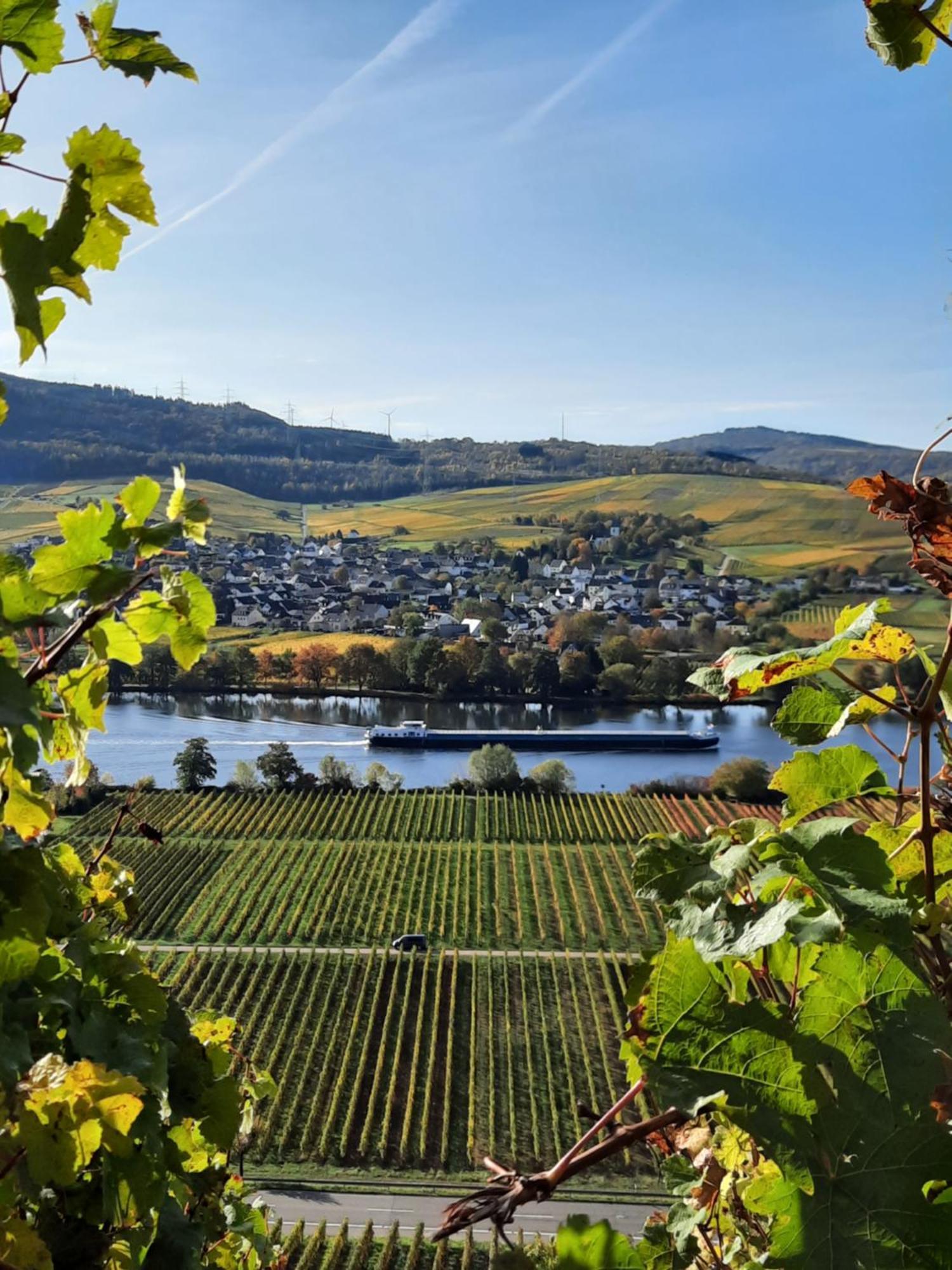 Weingut Weich Hotel Riol Buitenkant foto